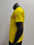 Retro Brazil Home  1991-1993