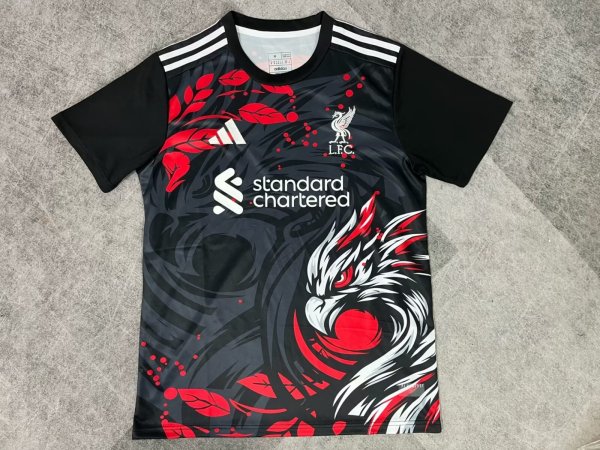 Liverpool Special Edition Fans 1:1 Quality Soccer Jersey   24-25