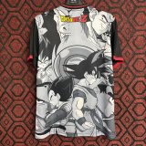 Japan Special Edition  Fans 1:1 Quality Soccer Jersey  24-25
