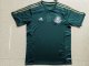 Retro Palmeiras 100 year home 1:1 Quality Soccer Jersey   2014-2015