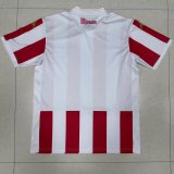 Monaco Special Edition Fans   1:1 Quality Soccer Jersey   24-25