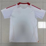 Sport Club International  Training clothes fans  1:1 Quality Soccer Jersey  25-26
