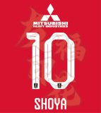 Urawa Red Diamonds home Fans 1:1 Quality Soccer Jersey  24-25