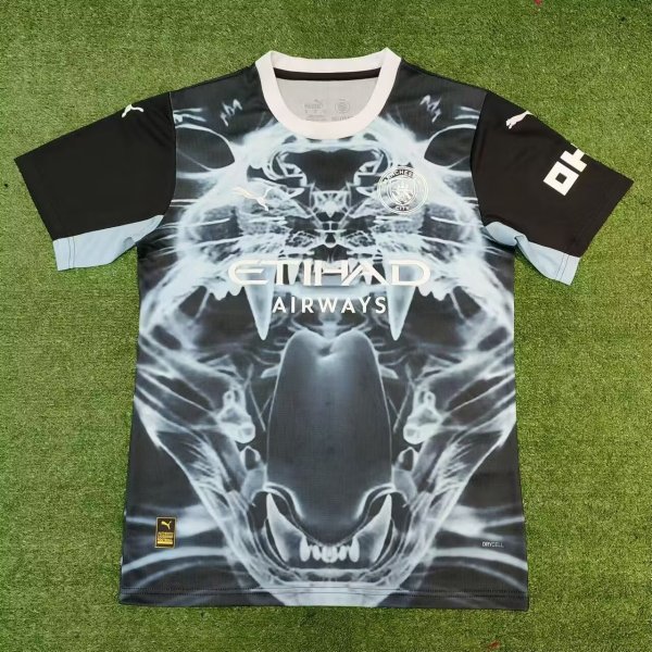 Manchester City Special Edition fans 1:1 Quality Soccer Jersey   24-25