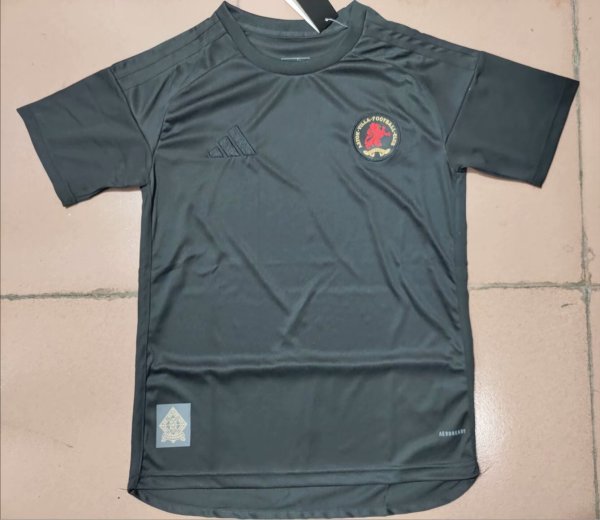 Aston Villa 150 year fans 1:1 Quality Soccer Jersey   24-25