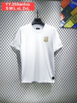 Santos Special Edition fans 1:1 Quality Soccer Jersey   24-25