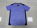 Botafogo training away Fans purple 1:1 Quality Soccer Jersey  24-25