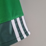 Retro  Palmeiras Home 2010-2011