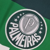 Retro  Palmeiras Home 2010-2011