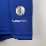 Retro  Palmeiras away 2009