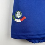 Retro  Palmeiras away 2009