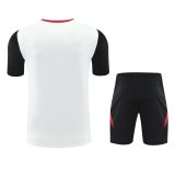 Manchester United training Fans  1:1 Quality Soccer Jersey    25-26
