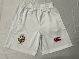 Lion Team Rugby jerseys  fans shorts 1:1  2025