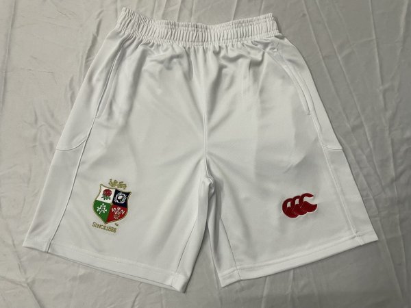 Lion Team Rugby jerseys  fans shorts 1:1  2025