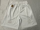Lion Team Rugby jerseys  fans shorts 1:1  2025