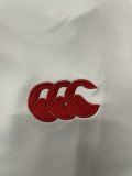 Lion Team Rugby jerseys  fans shorts 1:1  2025