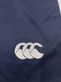 Lion Team Rugby jerseys  fans shorts 1:1  2025