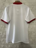 Lion Team  Rugby jerseys  fans away 1:1  2025