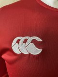 Lion Team  Rugby jerseys  fans home long 1:1  2025