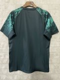 Lion Team  Rugby jerseys  fans training 1:1  2025