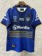 eel  Rugby jerseys  fans  home 1:1  2025