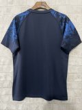 Lion Team  Rugby jerseys  fans training 1:1  2025