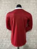 Lion Team  Rugby jerseys  fans home long 1:1  2025