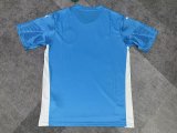Palmeiras goalkeeper  fans 1:1 Quality Soccer Jersey   25-26