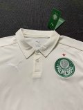 Palmeiras polo Special Edition fans 1:1 Quality Soccer Jersey   25-26