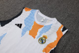 Real Madrid  training vest  fans  1:1 Quality Soccer Jersey  24-25