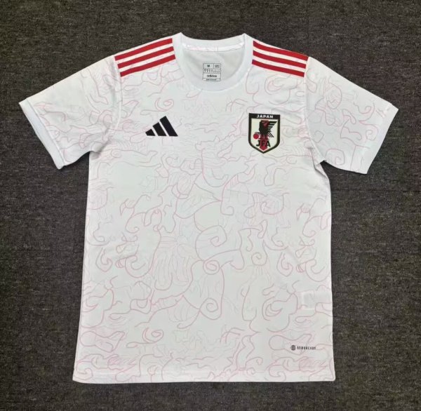 Japan training  Fans 1:1 25-26