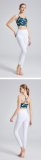 yoga clothes  Haitang Red Printing Set/Lingxian White Printing Set