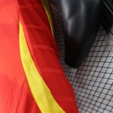 Spain  home  Player  1:1 24-25