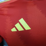 Spain  home  Player  1:1 24-25