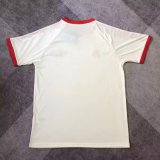 Flamengo Retro Fans 1:1 Quality Soccer Jersey  25-26
