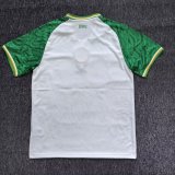 Celtic Special Edition  Fans  1:1 Quality Soccer Jersey  25-26