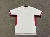 Lanús  Away Fans  1:1 Quality Soccer Jersey   25-26