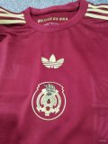 Mexico Special Edition Fans   1:1 Quality Soccer Jersey   25-26