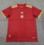 Mexico Special Edition Fans   1:1 Quality Soccer Jersey   25-26