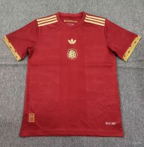 Mexico Special Edition Fans   1:1 Quality Soccer Jersey   25-26