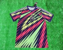 Mexico training Special Edition Fans   1:1 Quality Soccer Jersey   25-26