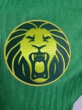 Cameroon home Player   1:1 Quality Soccer Jersey  25-26