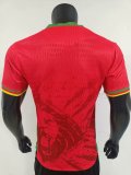 Cameroon away Player   1:1 Quality Soccer Jersey  25-26