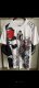 Japan Special Edition  Fans  1:1 Quality Soccer Jersey  25-26