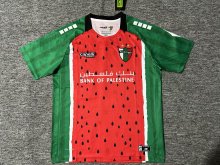 Palestine Third Fans 1:1 Quality Soccer Jersey 25-26