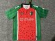 Palestine Third Fans 1:1 Quality Soccer Jersey 25-26