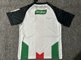 Palestine Home Fans 1:1 Quality Soccer Jersey 25-26
