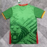 Cameroon home fans 1:1 Quality Soccer Jersey 25-26