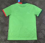 Mexico Special Edition  Fans  1:1 Quality Soccer Jersey   25-26