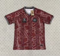 Denmark Special Edition Fans 1:1 Quality Soccer Jersey 24-25
